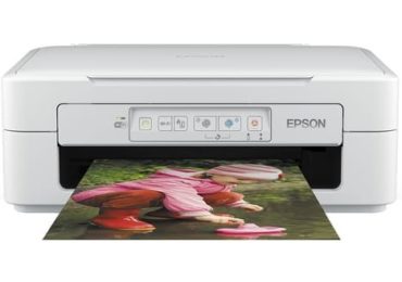 Epson XP 247