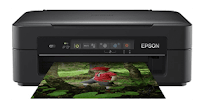 Epson2BXP 255